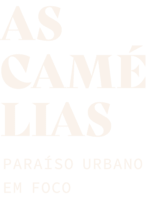 logotipo promocion Paraiso as camelias oporto portugal