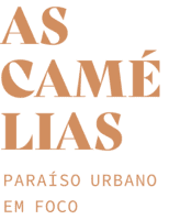 logotipo promocion Paraiso as camelias oporto portugal